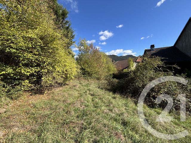 maison à vendre - 11 pièces - 290.0 m2 - MOUSSEY - 88 - LORRAINE - Century 21 Céline Jacques Immobilier