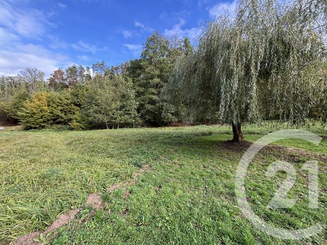 maison à vendre - 3 pièces - 78.0 m2 - TAINTRUX - 88 - LORRAINE - Century 21 Céline Jacques Immobilier